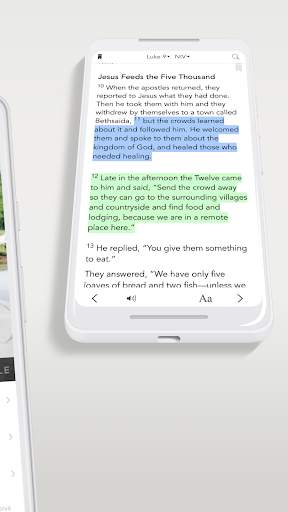 The Alternative screenshot 5