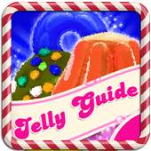 Guide Candy Crush Jelly Saga 1.0