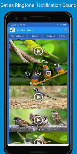 Singing Birds स्क्रीनशॉट 3