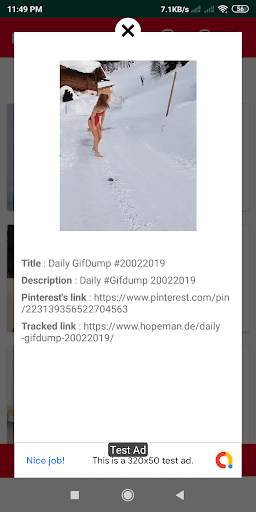 PinDownloader - Download video for Pinterest screenshot 5