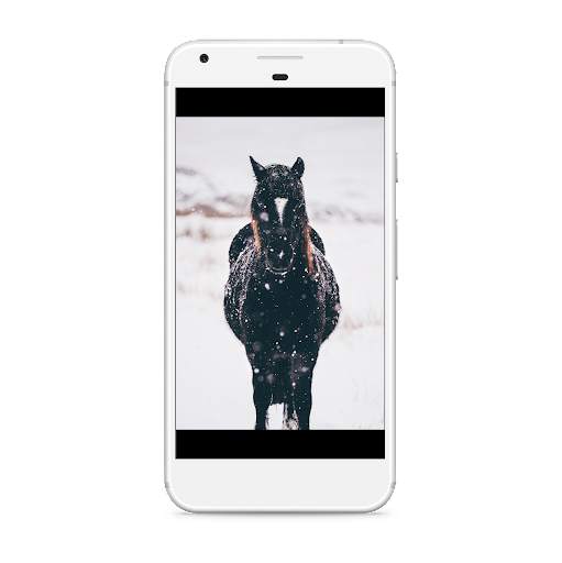 Horse Wallpaper: Beautiful Horse Images 4K screenshot 1