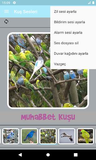 Kuş Sesleri स्क्रीनशॉट 8