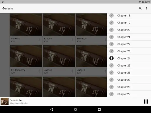 Bible Audio screenshot 7