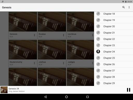 Bible Audio screenshot 7