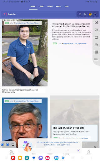 Link screenshot 12
