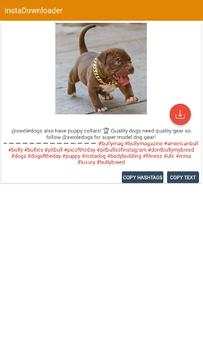 instaDownloader screenshot 3