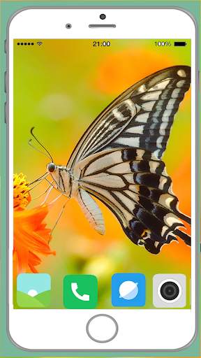 Butterfly Full HD Wallpaper screenshot 7