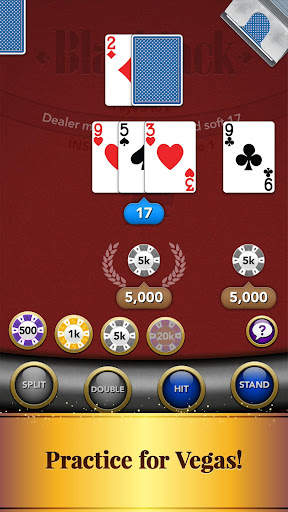 Blackjack Card Game screenshot 7