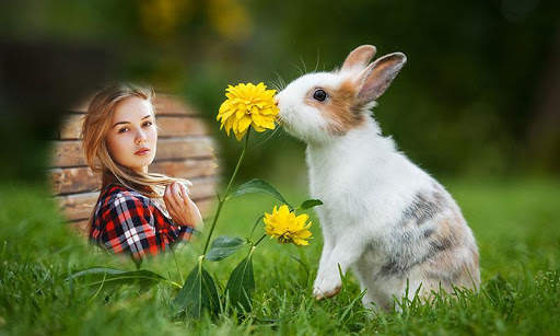 Rabbit Photo Frames screenshot 2