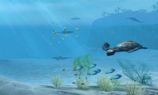 Shark VR juego de tiburones para VR screenshot 3