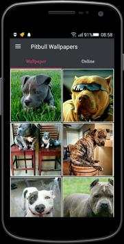 Pitbull Wallpapers screenshot 1