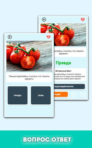 Правда или ложь - вопрос ответ скриншот 11