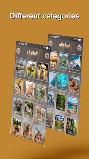 Swap Puzzle screenshot 3