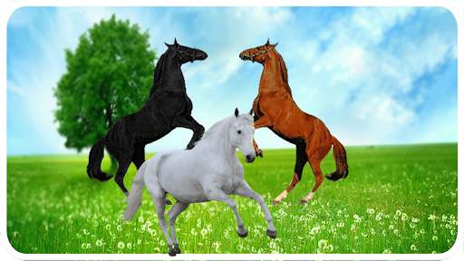 Horse Racing screenshot 1