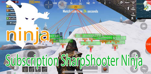 SharpShooter Ninja screenshot 3