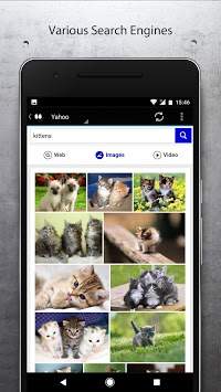 SS Browser - Simple Search screenshot 4