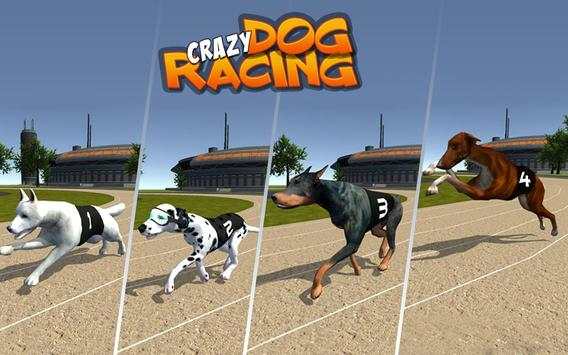 Crazy Dog Racing 1 تصوير الشاشة
