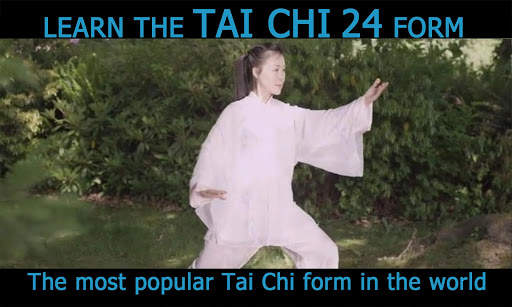 Tai Chi for Beginners 24 Form  screenshot 12
