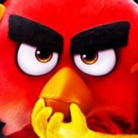 Angry Wallpaper Bird Screen HD