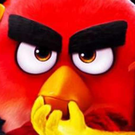 Angry Wallpaper Bird Screen HD 1.0