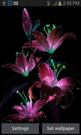 Purple Flowers Live Wallpaper screenshot 1