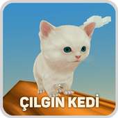 Cat Running Game