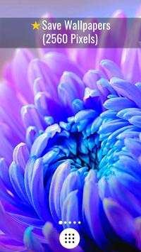 Macro Wallpapers screenshot 4