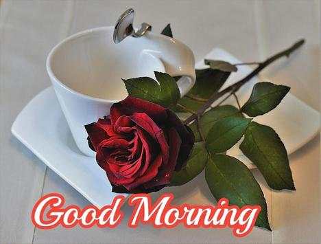 Good Morning Images Gif Animated Flower  Roses 4K screenshot 5