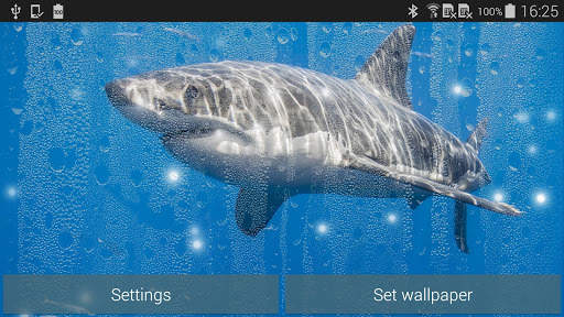 Shark Live Wallpaper screenshot 9