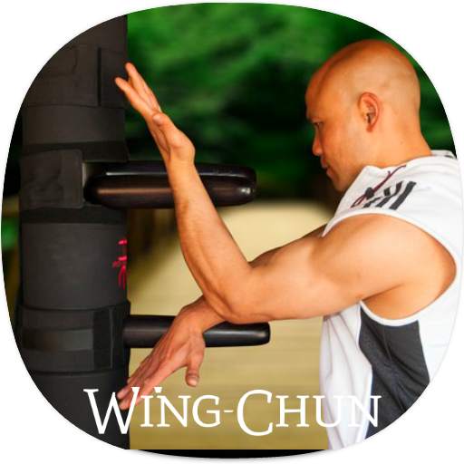 Wing Chun Guide 1.0.0