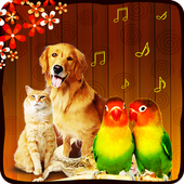 Animal   Bird Sound Effects أيقونة