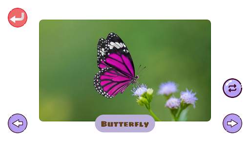 150  Animals and Birds Sounds for Kids screenshot 6