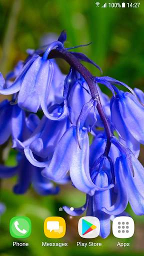 Beautiful Spring Flowers Live Wallpaper screenshot 2