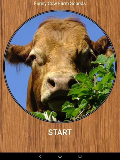 Funny Cow Farm Sounds screenshot 6