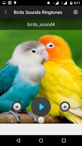 Birds sounds ringtones best screenshot 4