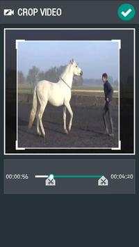 Video Editor screenshot 5
