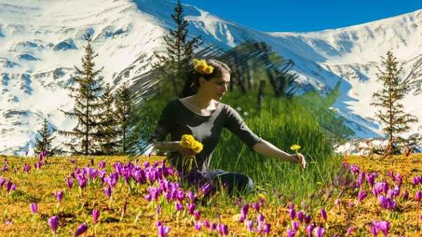Nature Photo Frames screenshot 8