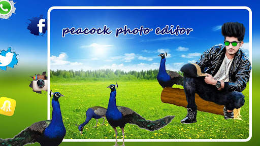 Peacock Photo Editor screenshot 2