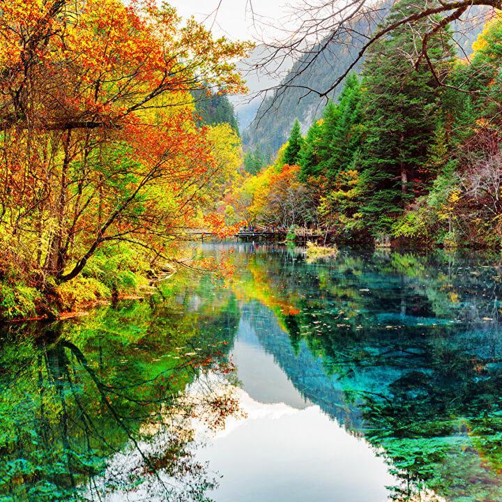 Jigsaw Puzzles For Adults screenshot 13