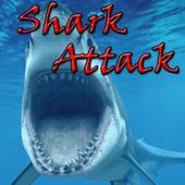 Shark Attack 1.0.1