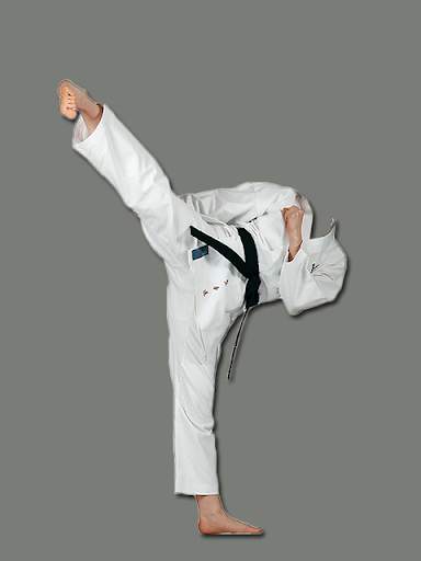 Karate Photo Frame Maker screenshot 2