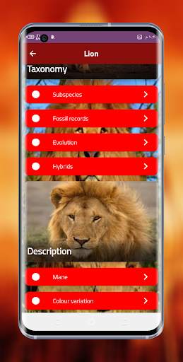 lion king screenshot 2