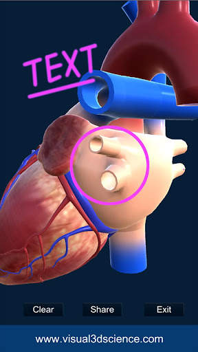 My Heart Anatomy screenshot 6