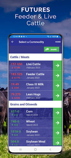 Cattle Market Mobile screenshot 3