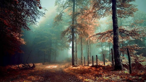 Mystic Night Live Wallpaper : 7fon & LWP screenshot 6
