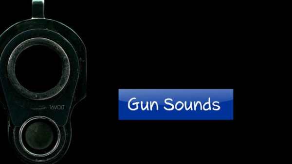 Guns Sounds Game screenshot 1