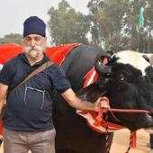 Pashumandi by Gurkirpal Singh 1.0