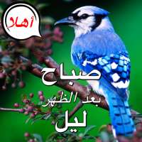 من صباح الخير الى ليلة الحب on 9Apps