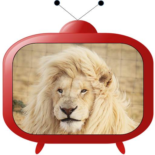 Animal documentary 1.7