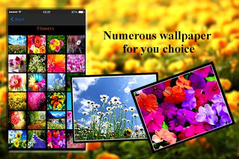 Love Flower Photo Frames screenshot 1